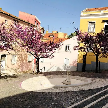 アパート Mouraria Smart